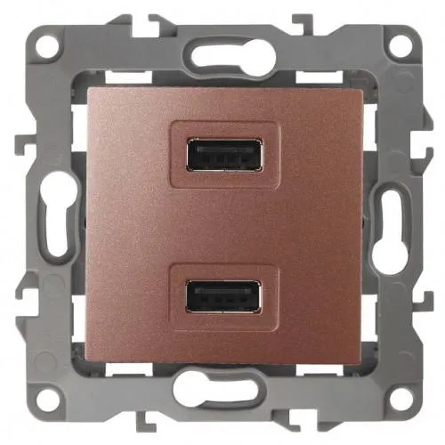 Розетка USB Эра 12 Медь 